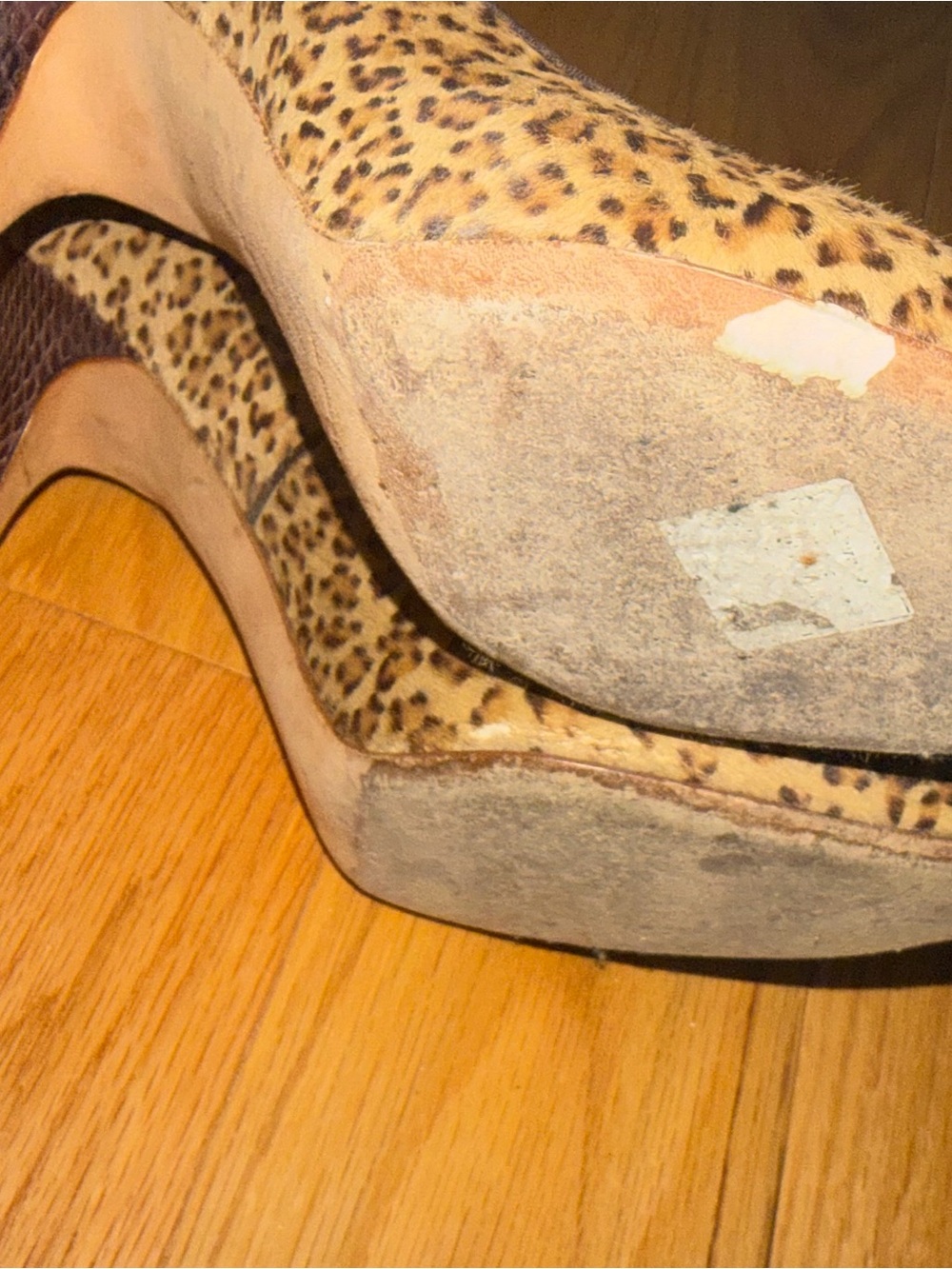Manolo Blahnik Leopard Print Pointed Toe Pumps with Brown Trim - Picture 5 of 6